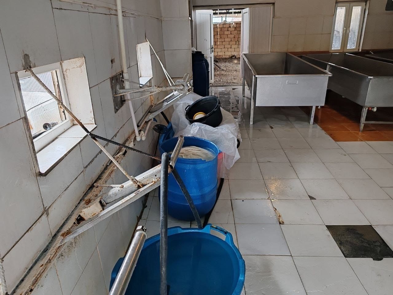 Qanunsuz fəaliyyət göstərən pendir sexi bağlandı - FOTOLAR